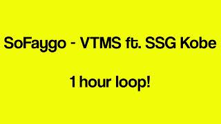 SoFaygo  VTMS ft SSG Kobe 1 hour loop [upl. by Alecia]