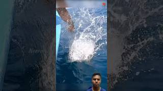 fish fishingvideo fishinglife thanksforwatching [upl. by Hanson]