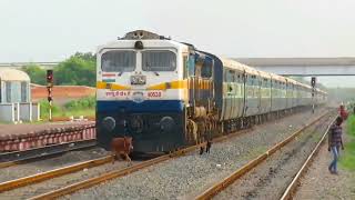 Train hit a cow 😭🐄train hits animal train accident  cow hit [upl. by Ativahs]