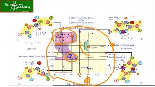 Ramachandran Plot and Its Analysis [upl. by Dreddy753]