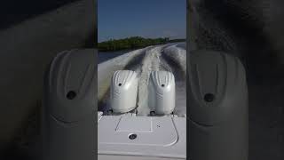 2025 Sea Hunt Gamefish 25 bonitaboatcenter centerconsole [upl. by Hallett822]