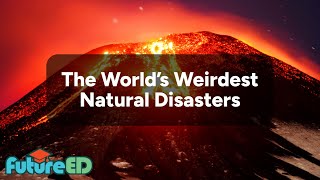 The Worlds Weirdest Natural Disasters  English Lesson  FutureEd [upl. by Kantor]