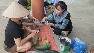 How to harvest seedless guava  Green squash  Rural girl [upl. by Franzen]