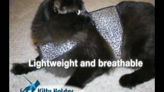 The Kitty Holster Cat Harness [upl. by Shiroma]