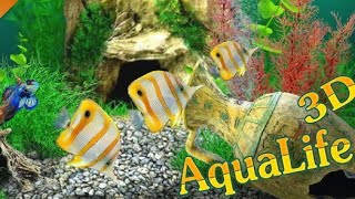 Aqualife 3d android game [upl. by Eamon423]