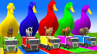 5 Giant Duck CartoonCowMammothDogTRexLionTiger Paint Wild Animals Crossing Fountain Animation [upl. by Zetana]