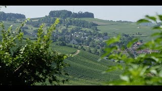 Sommer im Markgräflerland [upl. by Aronel]