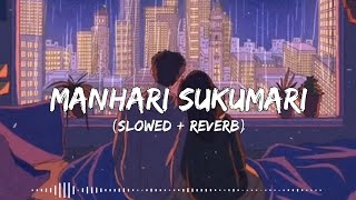 Manhari Sukumari SlowedReverb  Lofi Song  Dabb Music  newsong [upl. by Hyacinthie]