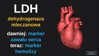 LDH  dehydrogenaza mleczanowa  dawniej marker zawału serca teraz marker hemolizy [upl. by Merill]