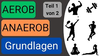 So wirst du GESUND und FIT  Aerobes und Anaerobes Training  GRUNDLAGEN  Teil 1 von 2 [upl. by Leroi]