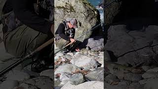 Returning a huge alive salmon caught by fishingI ❤️ salmon fishing Vedder river Canada 🇨🇦 59 [upl. by Aidahs]