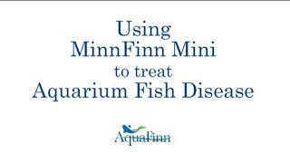 MinnFinn Mini Tutorial 103 MB [upl. by Dianne542]