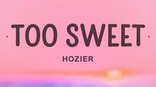 Hozier  Too Sweet [upl. by Ahsinek]