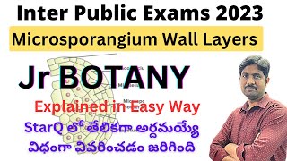 Microsporangium Wall Layers Explained in Easy Way  Jr Botany Most Important Questions [upl. by Sim]