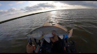 Catching Redfish On Topwater Wake Bait l South Padre Island TX South Texas Kayak Fishing [upl. by Ladnor]