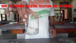 chemistry Experiment class 12 । lyophilic sol colloidal solution of starch [upl. by Guttery77]