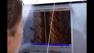 Using side scan sonar to tackle ghost gear in the Mediterranean [upl. by Kayne]