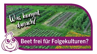 Fruchtfolgen bei uns im Gemüsegarten  Gartenrundgang [upl. by Juliet]