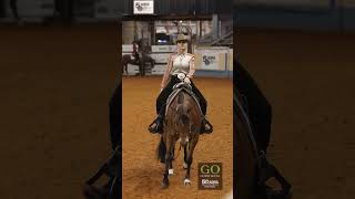 AQHA World Show 2024  L3 Amateur Western Pleasure [upl. by Gilroy]