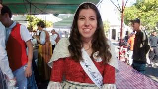 Solvang Danish Days [upl. by Ytineres849]