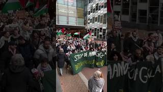 Massive protest is taking place in Utrecht Netherlands for Palestine shorts palestine [upl. by Calabrese238]