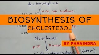 Biosynthesis of cholesterol  By phanindra gupta [upl. by Alesram]