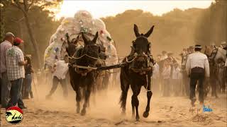 SEVILLANAS ROCIERAS COSITAS DEL ROCIÓ SEVILLANAS CAMINOS POR LA RAYA MEJORES OLEE  Video Oficial [upl. by Tisdale]