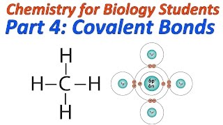 Basic Chemistry for Biology Part 4 Covalent Bonding and Structural Formulas [upl. by Caniff100]