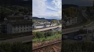 schaffhausen schweiz suisse schwitzerland shorts yt [upl. by Guinna]