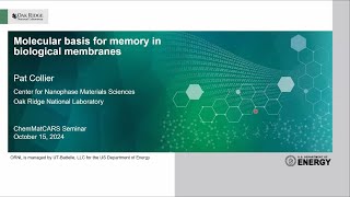 NSFs ChemMatCARS Soft Matter Interface Interest Group Seminar  20241015 [upl. by Ailahtan]