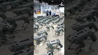 Watch Mass testing of Unitree Go1 robot dogs in factory [upl. by Aneloj]