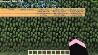 Minecraft Griefing  ScribbleServer [upl. by Aicenat81]