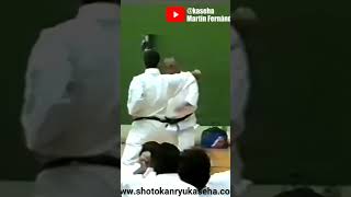 1993 Taiji Kase Heian Nidan bunkai [upl. by Roleat532]