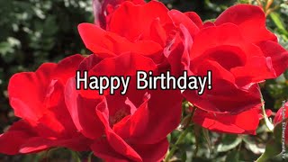 🌹 Alles Gute zum Geburtstag 💖🍀🌞 Happy Birthday 🌹 WhatsApp Grußvideo kostenlos zum Verschicken [upl. by Noel]