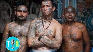 MS13 Gang Undercover Video of Largest Takedown in US History  The Interview Room [upl. by Tongue]