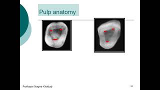 Pedo 501  Lec 5  pulp therapy technique part 1 [upl. by Beauchamp]