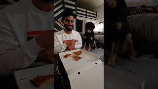 Snow trip youtubeshorts telugu shortsvideo dog love shorts doglover animals shortsfeed [upl. by Christa]