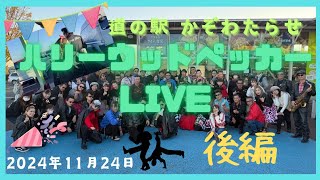 2024年11月24日 道の駅かぞわたらせ ハリーウッドペッカーライブ 後編 [upl. by Esenahs]