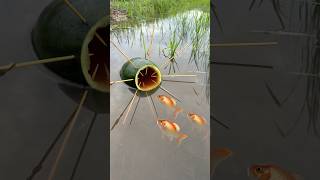 Survival Skills SIMPLE and USEFUL with big fish bushcraft camping outdoors [upl. by Popper786]