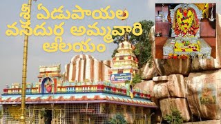 YEDUPAYALA VANADURGA MATHA DEVALAYAM trending travel [upl. by Blunt32]