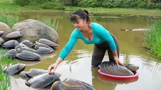 Harvesting A Lot Of Snails Goes To Market Sell  Take Care Ducks amp Pigs  Phuong Daily Harvesting [upl. by Eniamret]