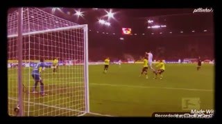 Roman Weidenfeller BEST SAVES 20112012 [upl. by Acinomad133]