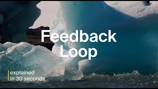 Feedback Loop Explained in 30 Seconds  COP29 Explained [upl. by Sara-Ann]