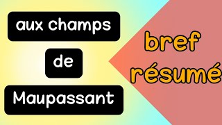 Aux champs de Maupassant  un bref résumé [upl. by Yrod111]