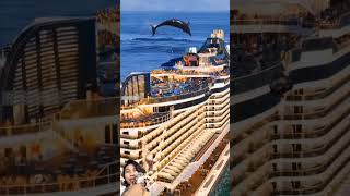 Rare moment Dolphins and Helicopters pass over cruise ships adventure dolphin shortsfeed [upl. by Osmund994]