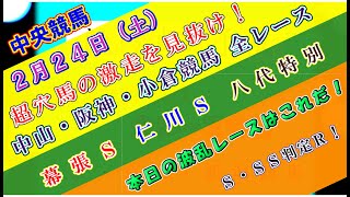 【競馬予想】競馬波乱予報 ２月２４日（土） 中央競馬＆地方競馬 全レース予想！ [upl. by Brittaney528]