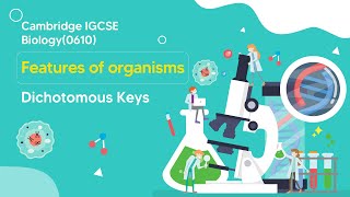 Mastering Dichotomous Keys in IGCSE Biology 🌿🔬 Everything You Need to Know [upl. by Kahl63]