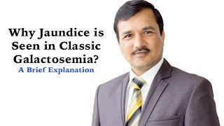 Why Jaundice is Seen in Classic Galactosemia [upl. by Coit]