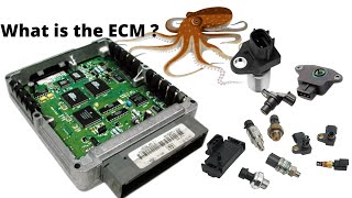 What is an Engine Control Module ECM and how does it work [upl. by Llener351]