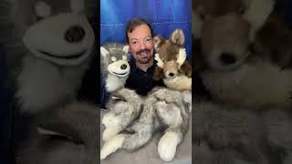 Different Types Of Wolf Puppets Explained quotDog Show 10quot The Puppet Hideaway with Eric Thomsen [upl. by Allyson776]